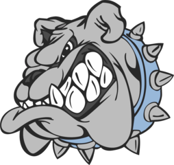 Centennial High School