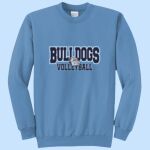 Adult Crewneck - Centennial Thumbnail