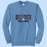 Adult Crewneck - Centennial Thumbnail